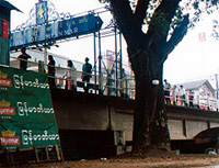 nthai53.jpg