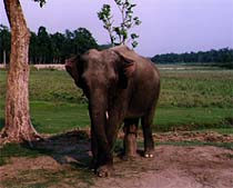 nepal12.jpg (13998 oCg)