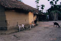 nepal15.jpg (12453 oCg)