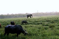 nepal16.jpg (10254 oCg)