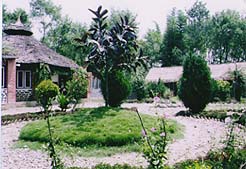 nepal19.jpg (22256 oCg)