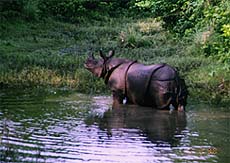 nepal23.jpg (19268 oCg)