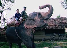 nepal24.jpg (15353 oCg)