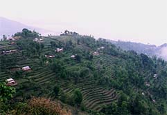 nepal29.jpg (12035 oCg)